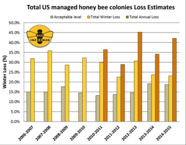 Grfico de la desaparicin de las abejas
