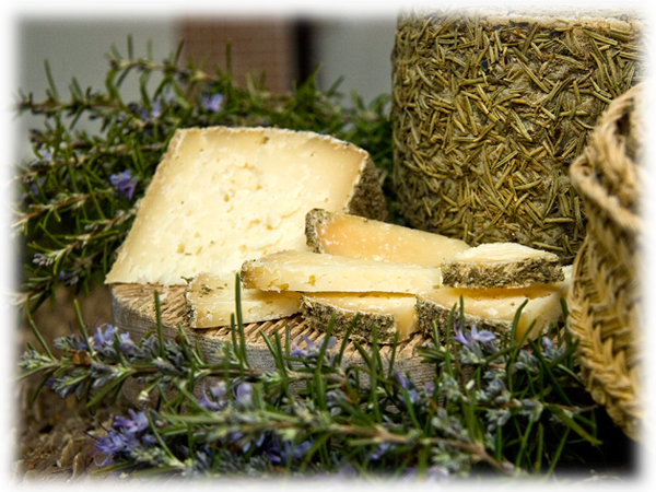 Como conservar el queso