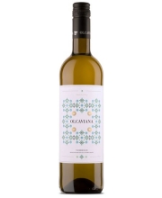 Vino Blanco Verdejo Ecolgico